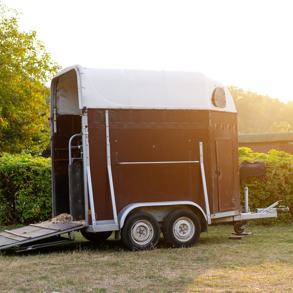Horse trailer standing outdoor with open door. vehicle for horse transportation 